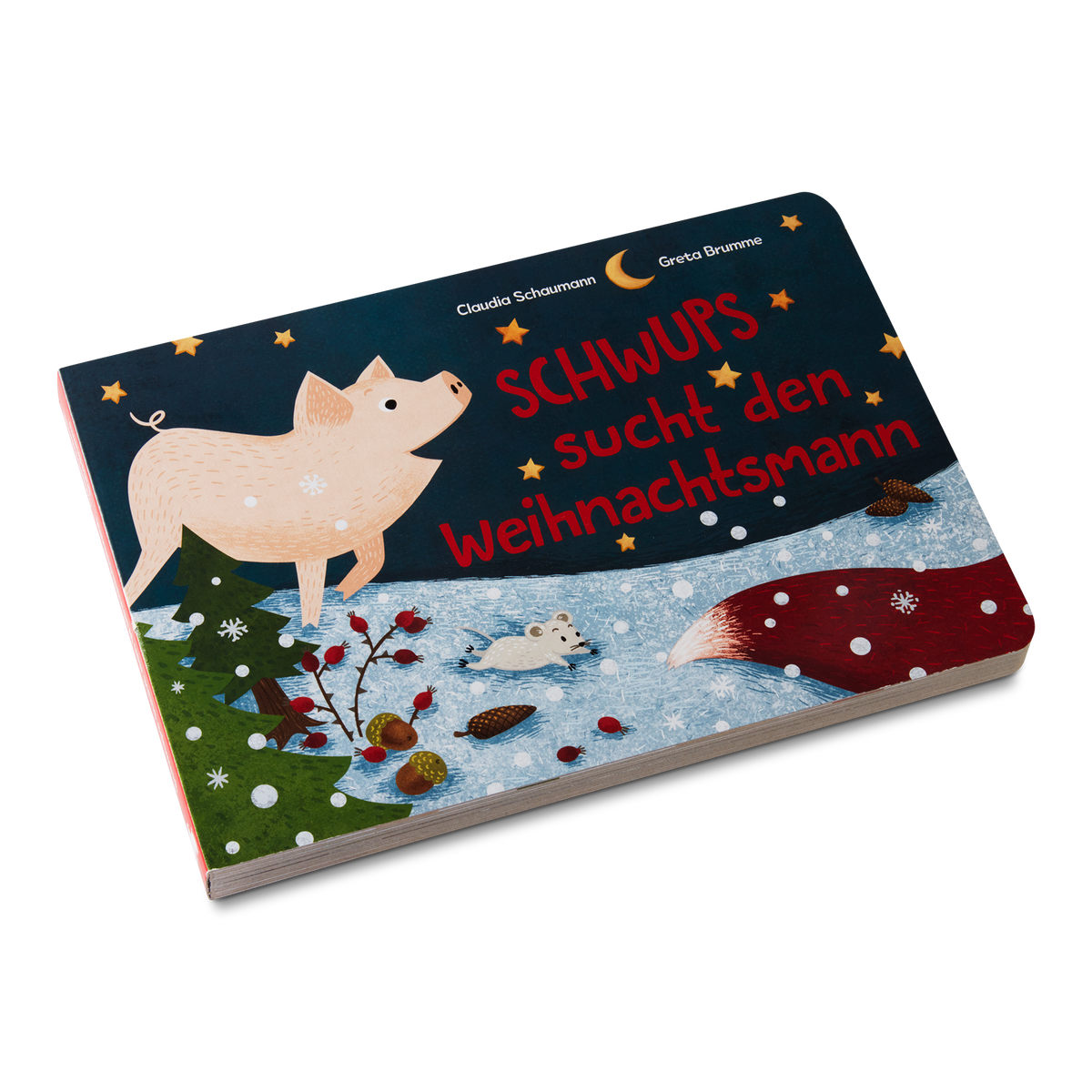 Schwups sucht den Weihnachtsmann